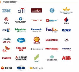 中国物业百强大连豪之英物业携手极致科技，开启日式服务新篇章